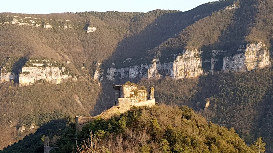 photo chateau de peyrelade